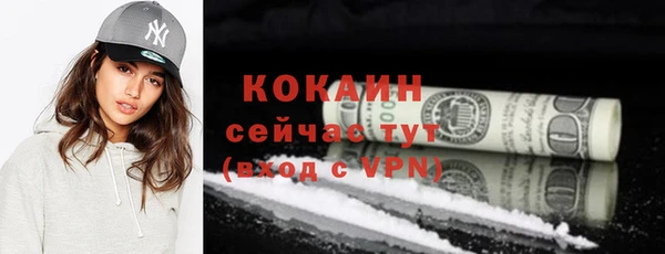 сатива Кулебаки