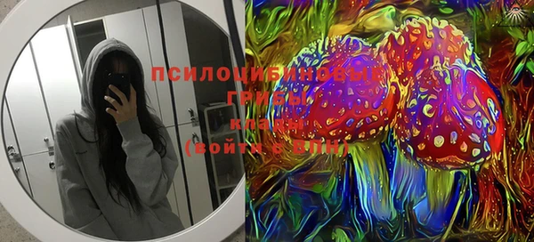 спайс Покачи