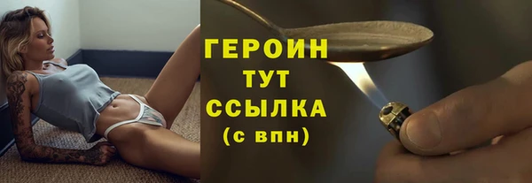 сатива Кулебаки