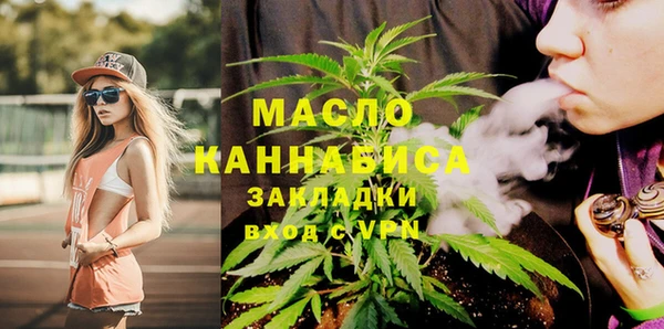 сатива Кулебаки