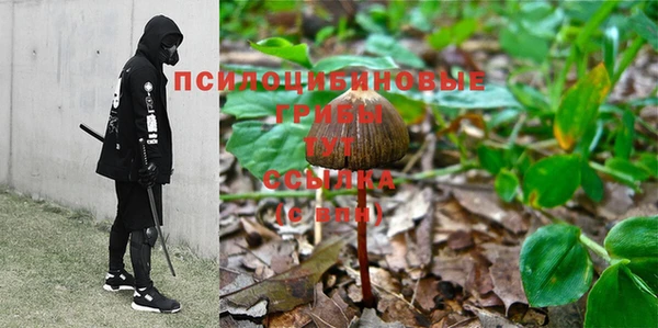 спайс Покачи