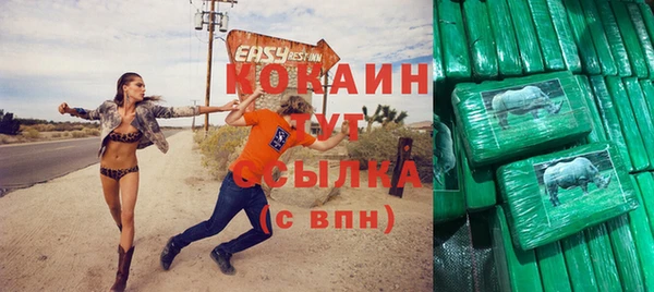 сатива Кулебаки