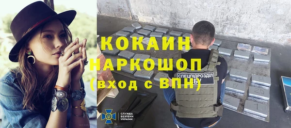 сатива Кулебаки