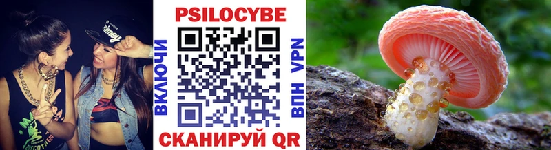 Галлюциногенные грибы Psilocybe  Симферополь 