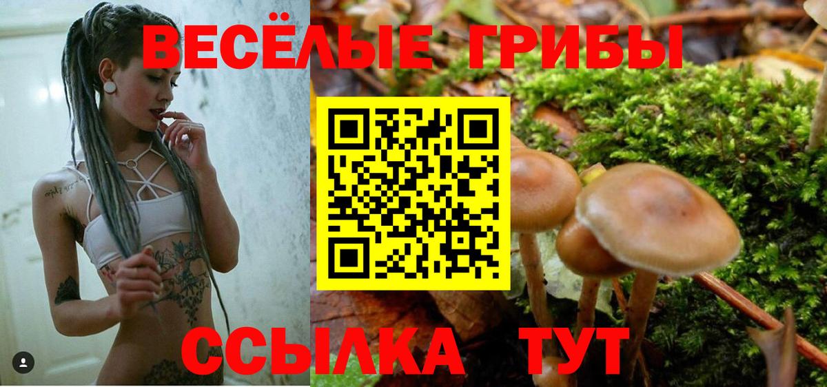 Псилоцибиновые грибы мицелий  Вход с VPN  Симферополь  купить  цена  Псилоцибиновые грибы GOLDEN TEACHER 