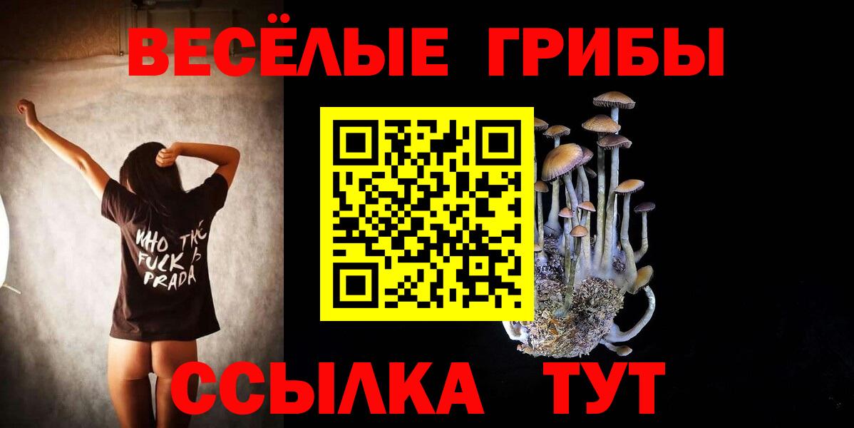 Галлюциногенные грибы GOLDEN TEACHER Симферополь